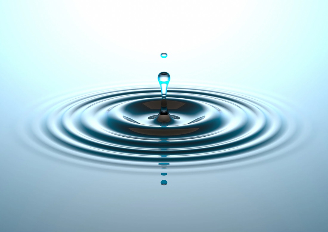 Magnésium Bisglycinate : La Forme La Plus Assimilable et La Plus Douce Pour Votre Corps