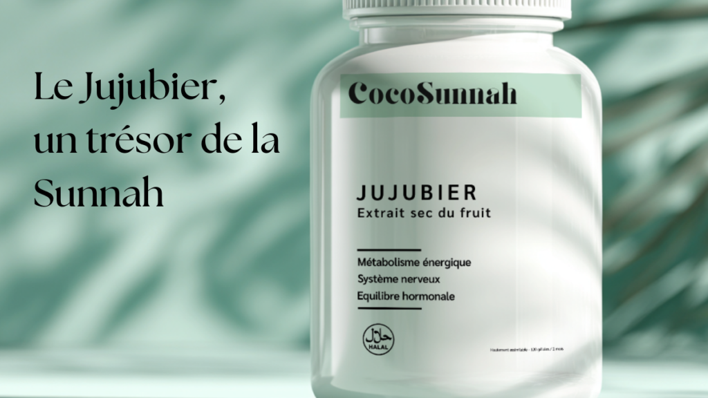 le jujubier, un trésor de la sunnah